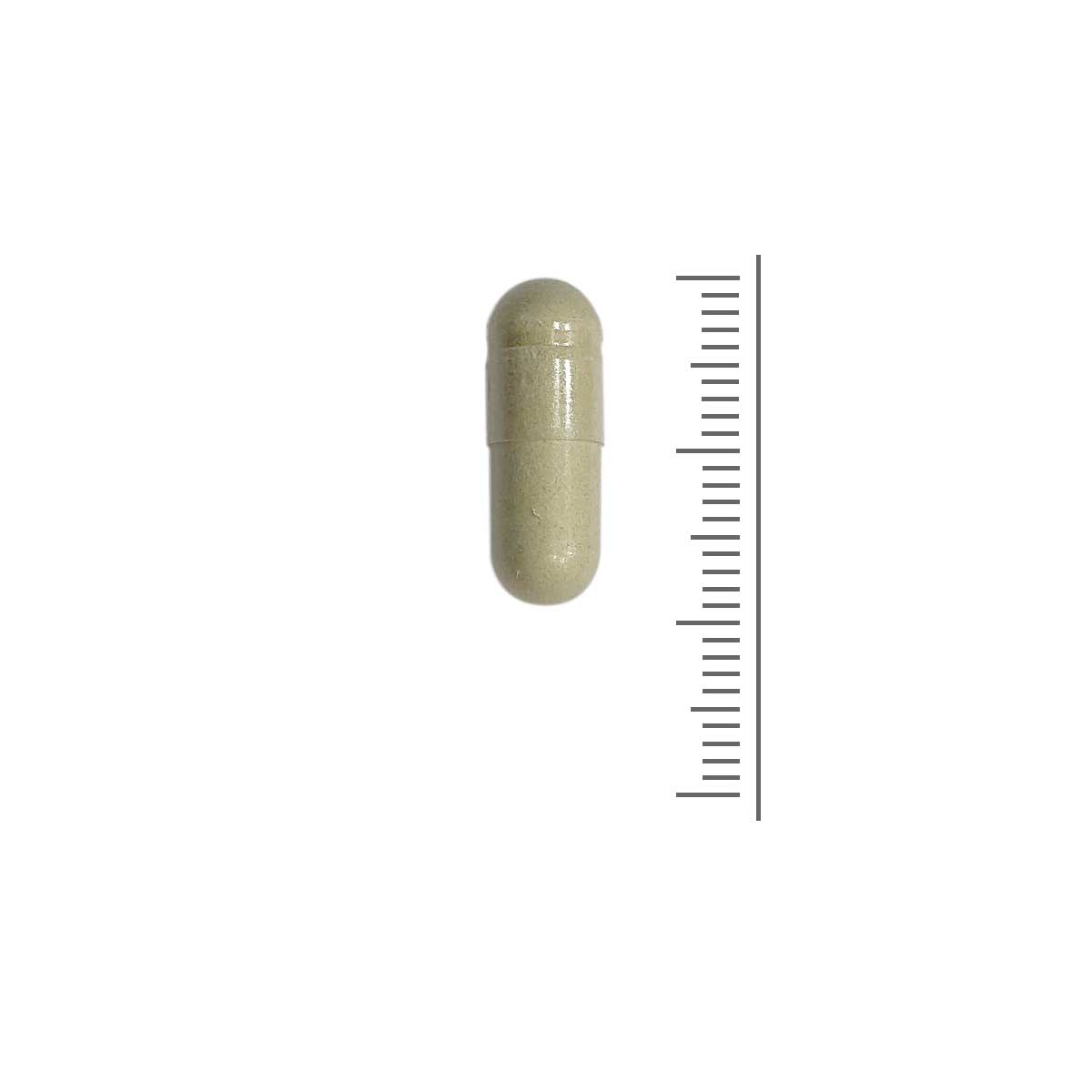 Neopuntia - 90 capsules