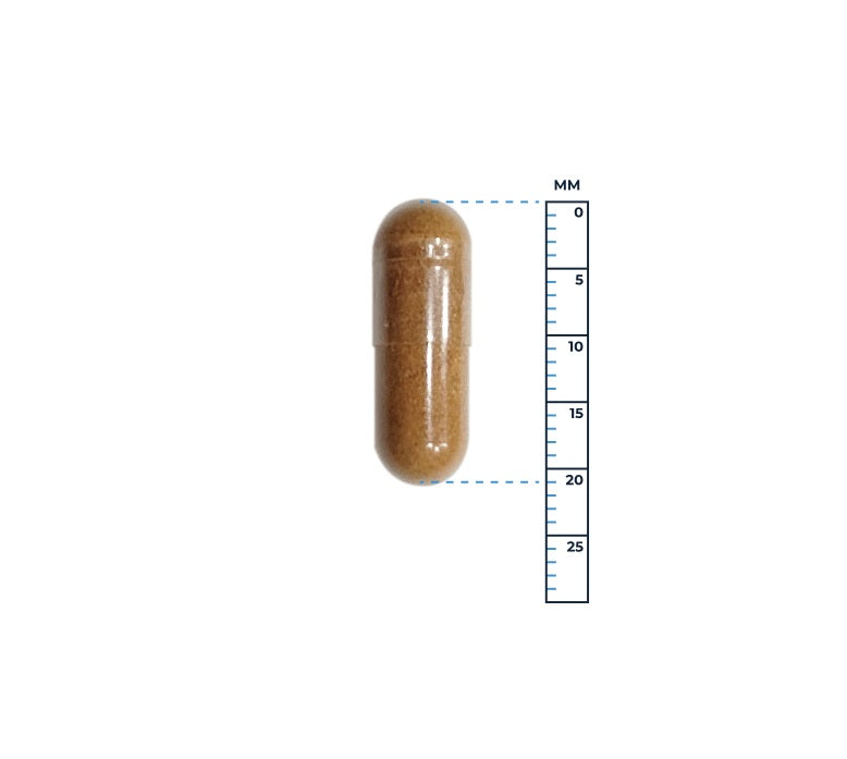 Fat Burn Support - 90 Capsules