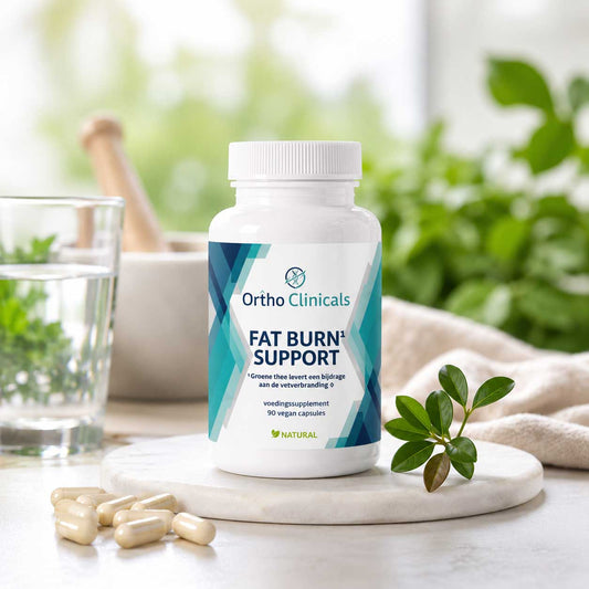 Fat Burn Support - 90 Capsules